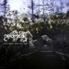 Panopticon - ...And Again Into the Light