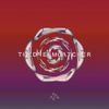 Colliding With Mars - THE DREAMCATCHER