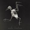 C.R.O - Cada L&aacute;grima