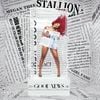 Megan Thee Stallion - Cry Baby