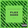 Various Artists - Flex Gang, Vol. 3