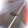 For Tracy Hyde - Ethernity