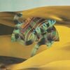 Django Django - Django Django