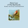 Nick Cave & The Bad Seeds - There She Goes, My Beautiful World