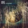 Muse - Dead Star &bull; In Your World