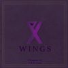 PIXY - Wings