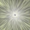 Goodbye, Sol: A Voyage to the End of Spacetime and Back
