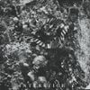 Knoll - Interstice
