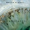 Mattia Olgiati - Landscapes