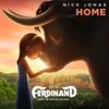Nick Jonas - Home