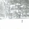RINGEX PLASTER - 23​.​2: japanese programs hiatus (nothing here)