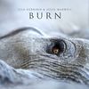 Jules Maxwell - Burn