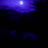desert sand feels warm at night - 囚人 [Prisoner]