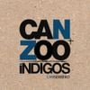 Can + Zoo - Can+Zoo &Iacute;ndigos