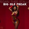 Megan Thee Stallion - Big Ole Freak