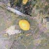 Lemonyello & Dirty Golden - Dirty Lemon