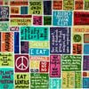 That Vegan Teacher - Find the Courage to Feel