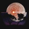 Human Factor - Observer