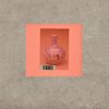 Momus - Vivid