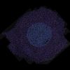 Floating Points - Danger