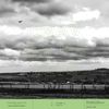Craven Faults - Springhead Works