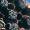 Steve Roach - Jorge Reyes - Vine ~ Bark & Spore