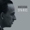 Sparks - The Seduction of Ingmar Bergman