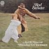 Rod Stewart - An Old Raincoat Won't Ever Let You Down