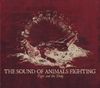 The Sound of Animals Fighting - Tiger and the Duke