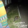 Альбом, который не считается (Album that doesn’t count)
