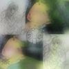 i9bonsai - mixd up