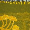 Rural Tapes - Rural Tapes