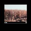 Milk - III