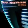 A Place to Bury Strangers - Hologram
