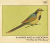 A Hawk and a Hacksaw - The Way The Wind Blows