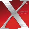 Callithumpian Consort / Stephen Drury - Xenakis: Kraanerg