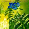 Yes - Fly from Here - Return Trip