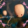 Venus Hum - The Colors in the Wheel