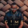 GIMS - Le fl&eacute;au