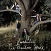 Larrikin Love - The Freedom Spark