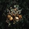 Mujuice - Downshifting