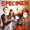 Specimen - Azoic