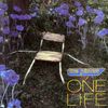 the pillows - ONE LIFE
