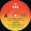 Pink Floyd - The Dogs of War