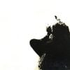 Gato Barbieri - In Search of the Mystery