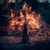 Jayli Wolf - Wild Whisper