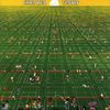 Chris Rea - Tennis