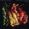 The Stolen Orchestra - Everything Is Happenning B-Sides