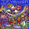 Steve Winwood - About Time