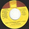 Stevie Wonder - Don't You Worry 'Bout a Thing